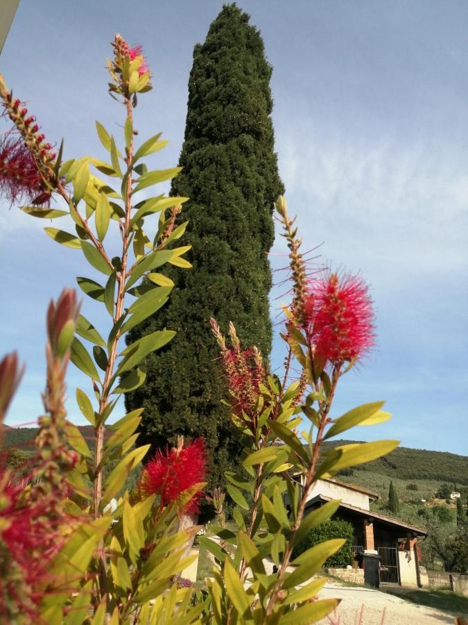 Borgo Buciardella Βίλα Baschi Εξωτερικό φωτογραφία