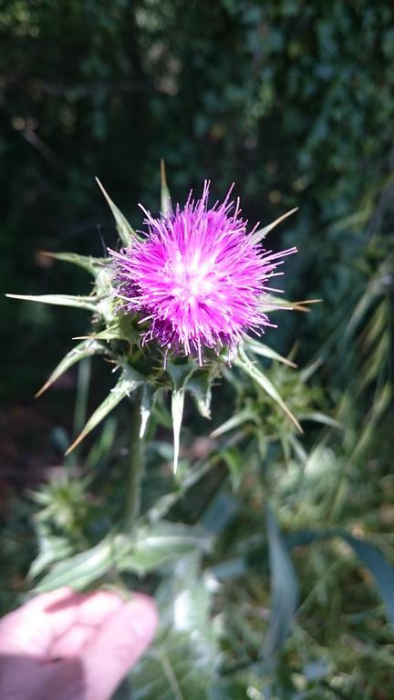 Borgo Buciardella Βίλα Baschi Εξωτερικό φωτογραφία
