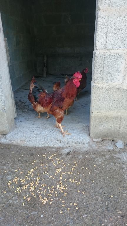 Borgo Buciardella Βίλα Baschi Εξωτερικό φωτογραφία