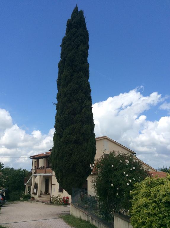 Borgo Buciardella Βίλα Baschi Εξωτερικό φωτογραφία