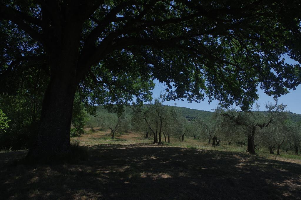 Borgo Buciardella Βίλα Baschi Εξωτερικό φωτογραφία