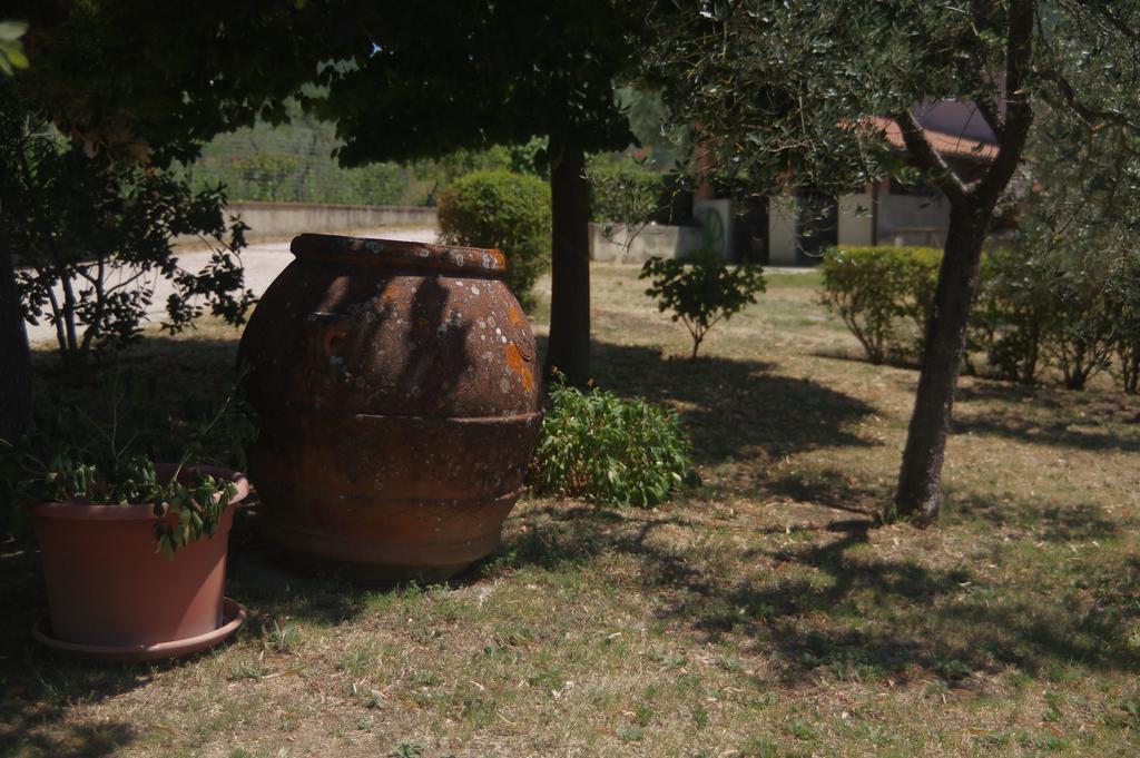 Borgo Buciardella Βίλα Baschi Εξωτερικό φωτογραφία