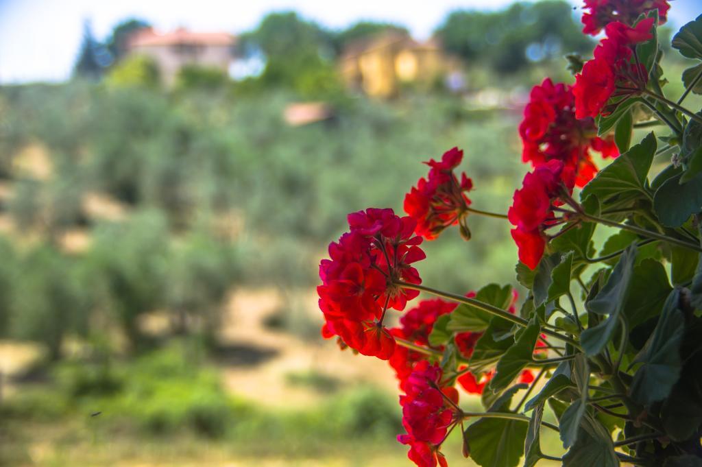 Borgo Buciardella Βίλα Baschi Εξωτερικό φωτογραφία